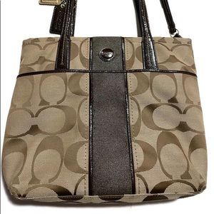 Coach Bag | Signature Stripe Canvas Bag